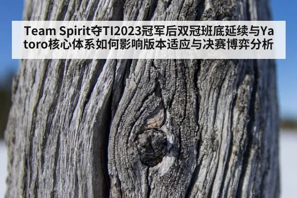 Team Spirit夺TI2023冠军后双冠班底延续与Yatoro核心体系如何影响版本适应与决赛博弈分析